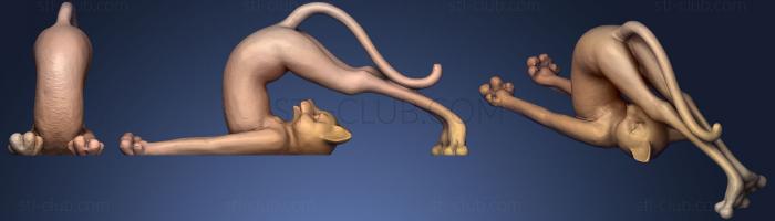 3D модель Египетский Кот для Йоги (STL)